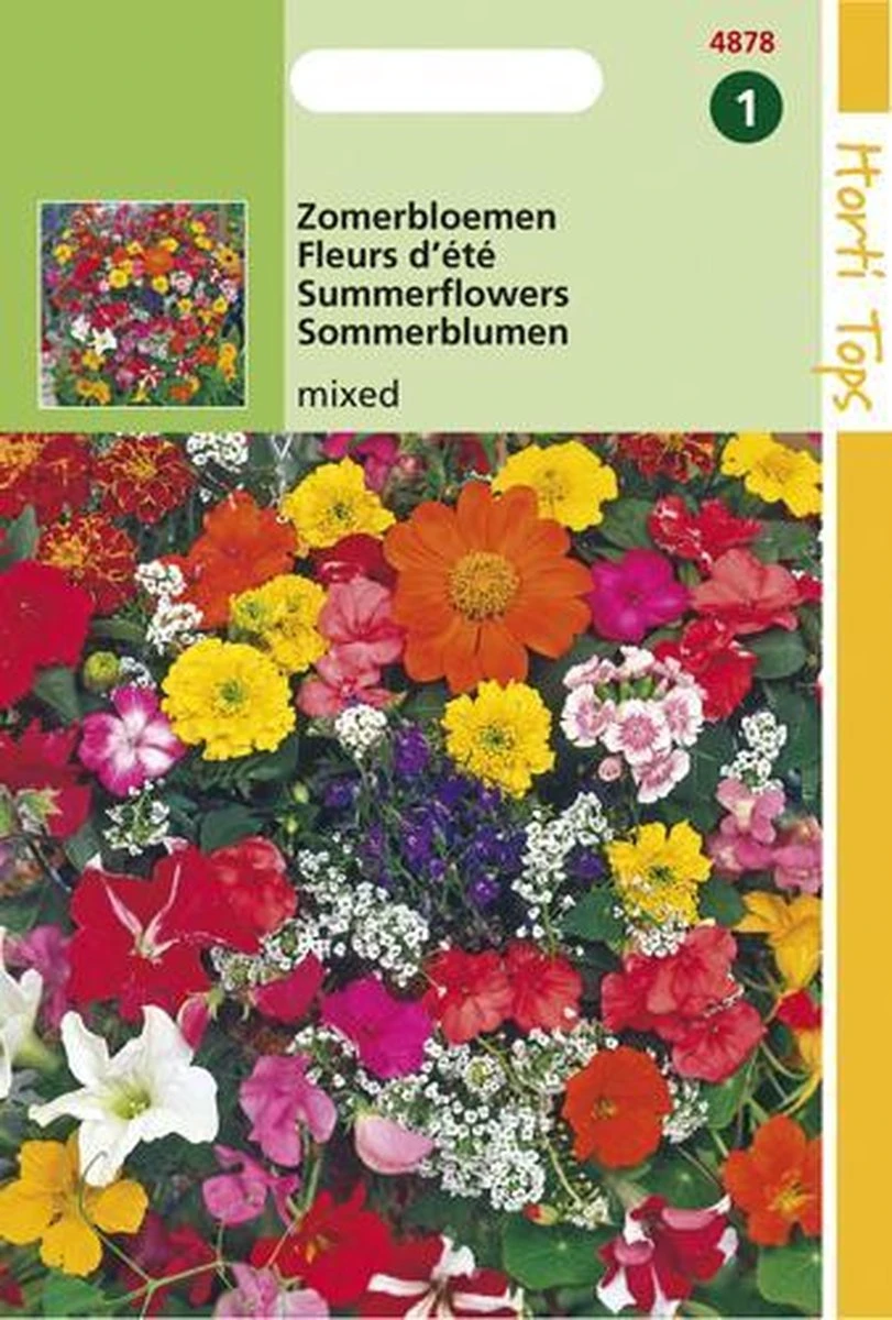Hortitops Zaden - Zomerbloemen Gemengd - Afbeelding 3