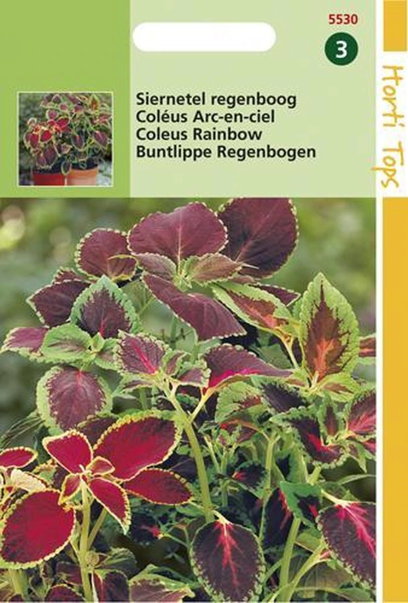 Hortitops Zaden - Coleus Blumei Regenboogmengsel