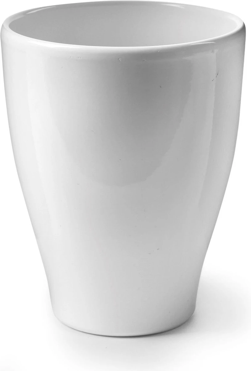 Ecoworld Mini Cactussen - 5 Stuks - Ø 6 Cm - Hoogte 8-15 Cm - Afbeelding 7