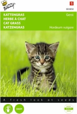 5 Stuks Kattengras Gerst