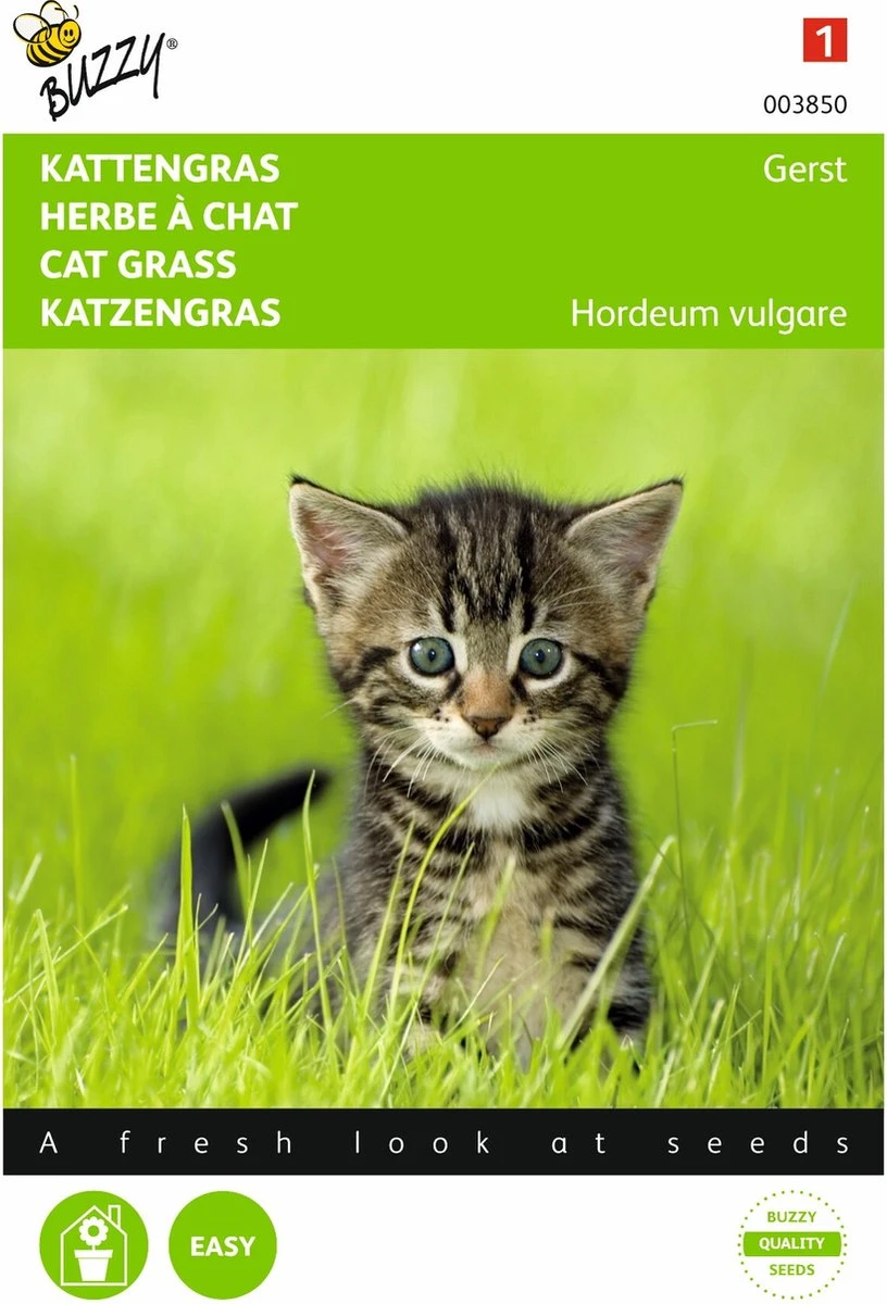 5 Stuks Kattengras Gerst