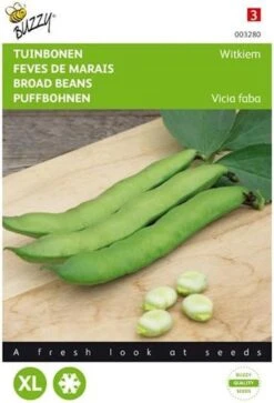 Buzzy® Tuinbonen Witkiem