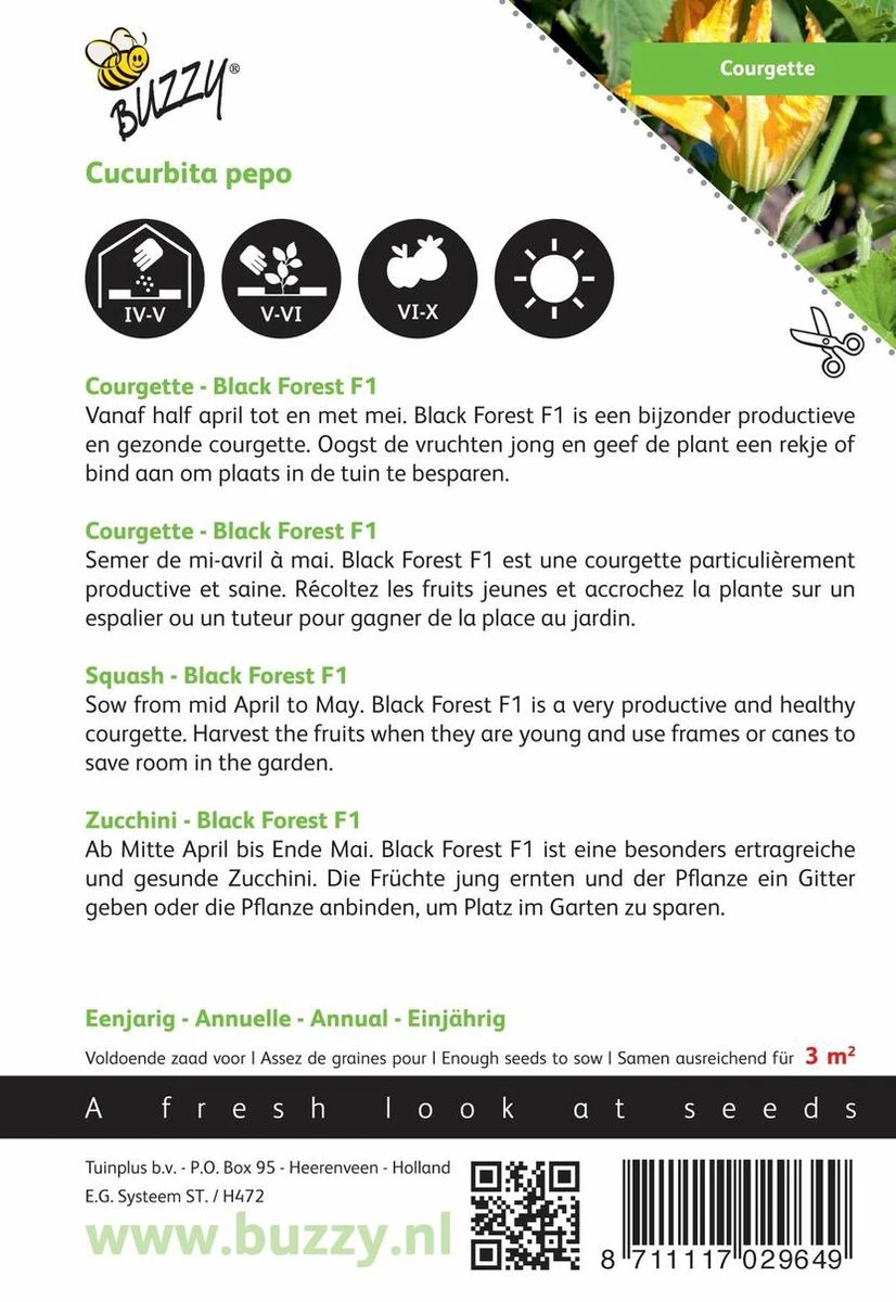 Buzzy® Courgette Klimmend Black Forest F1 - Afbeelding 2