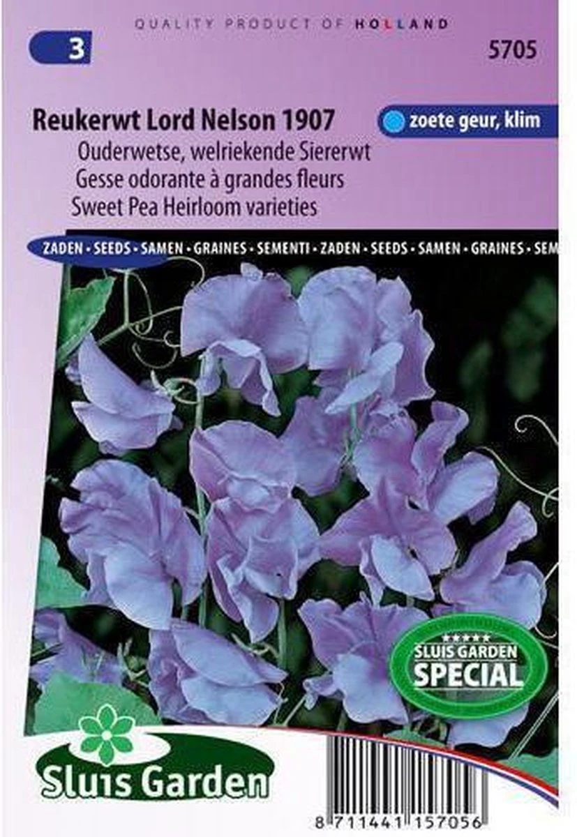 Sluis Garden - Reukerwt Lord Nelson 1907 (Lathyrus)