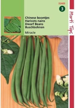 Hortitops Zaden - Struikprinsessenbonen Miracle Chinese Boontjes 25 Gram