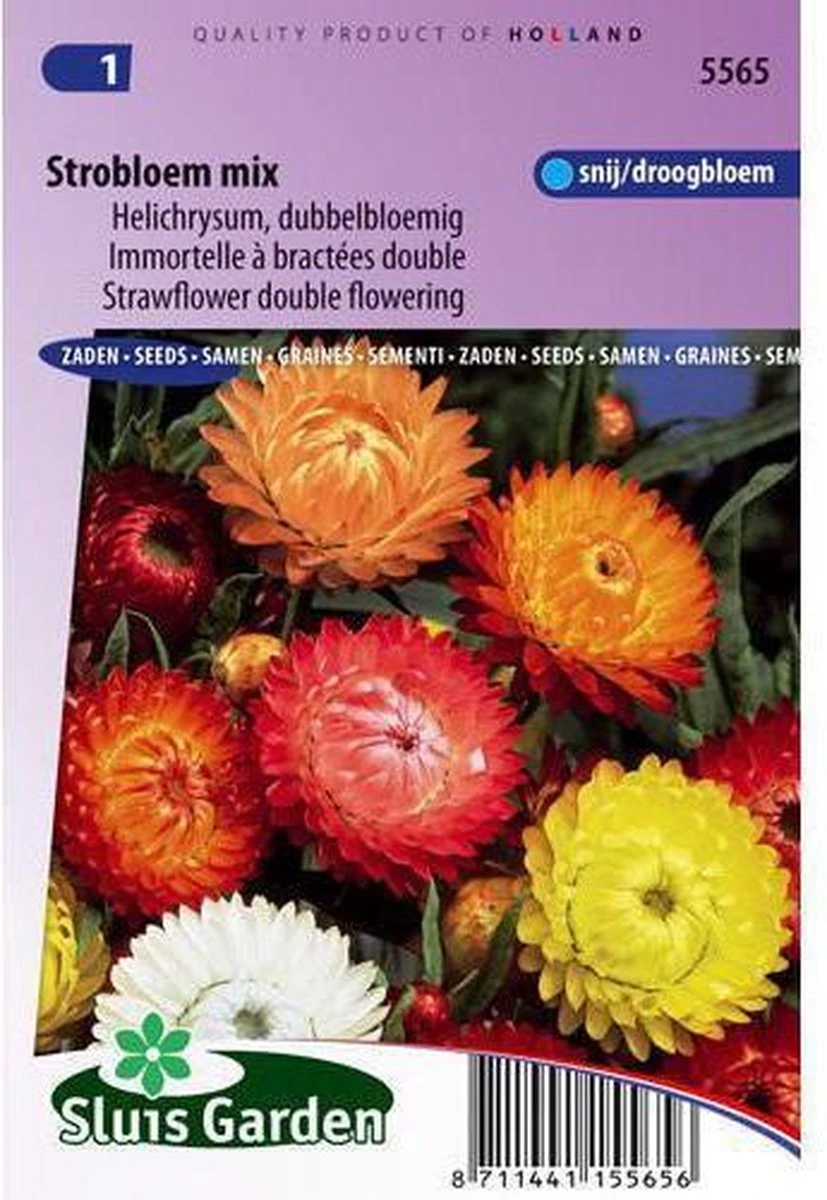 Sluis Garden - Strobloem Dubbelbloemig Gemengd