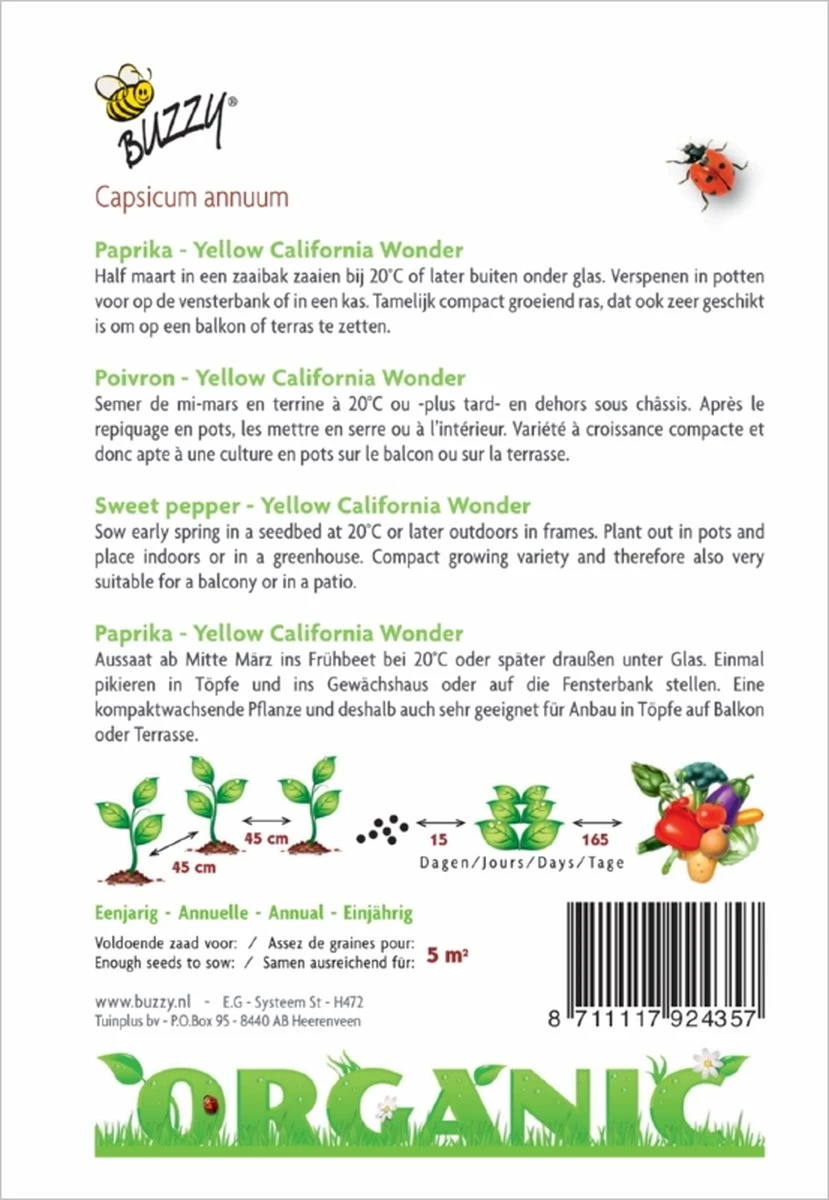Organic Paprika Yellow California Wonder (BIO) - Inh.: 0,25 Gram - Afbeelding 2
