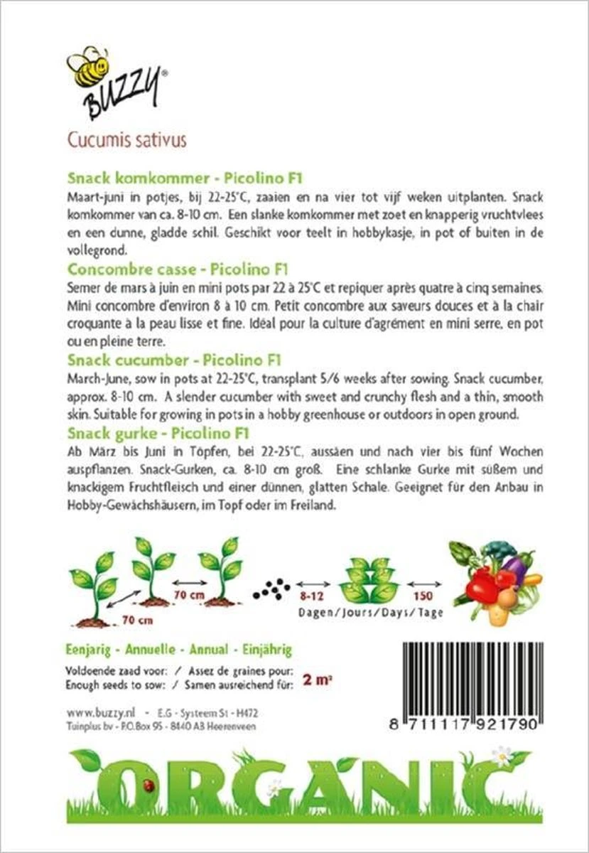 Buzzy® Organic Snackkomkommer Picolino (BIO) - Afbeelding 2