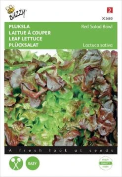 Buzzy Zaden Pluksla Red Salad Bowl, Rode Eikenblad