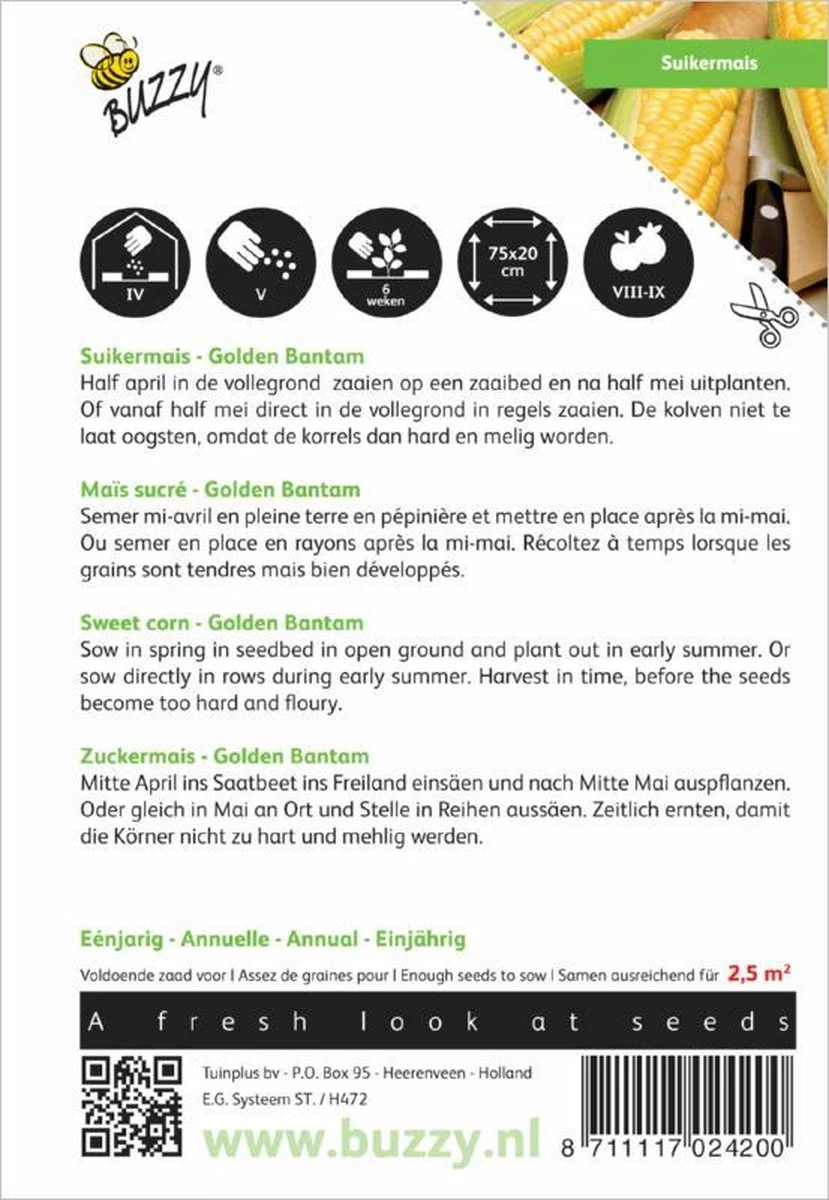 Buzzy® Suiker Mais Golden Bantam - Afbeelding 2