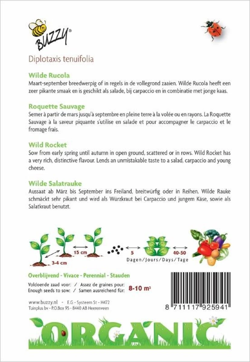 Buzzy® Organic Rucola Wilde Meerjarige (BIO) - Afbeelding 2