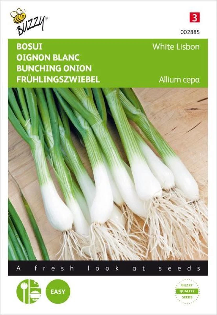 Buzzy Zaden - Bosuien White Lisbon (Allium)