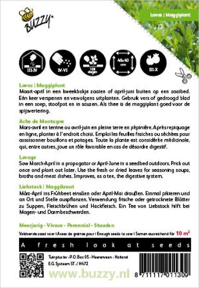 Buzzy® Lavas (Maggiplant) - Afbeelding 3