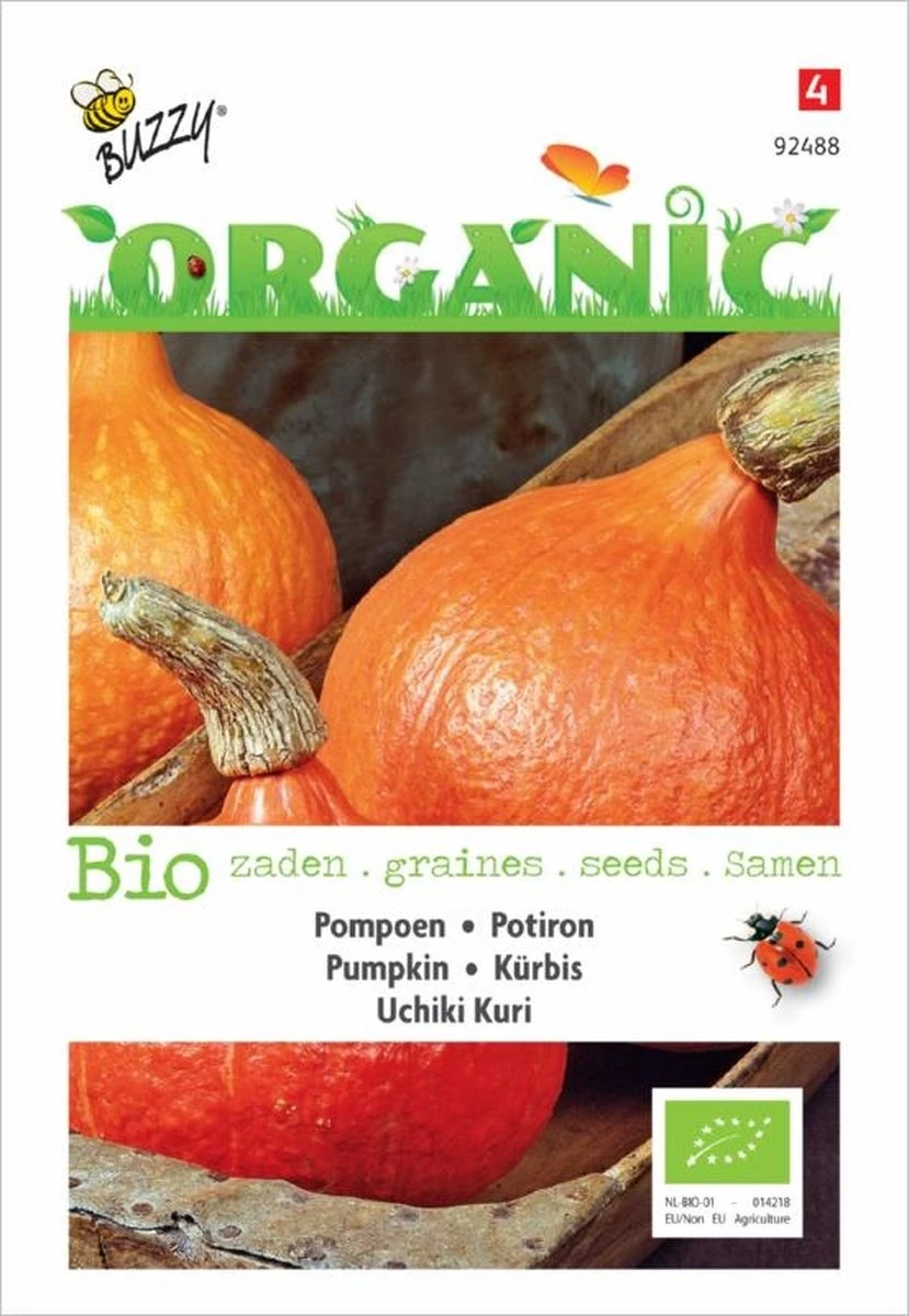 Buzzy® Organic Pompoen Uchiki Kuri (BIO)