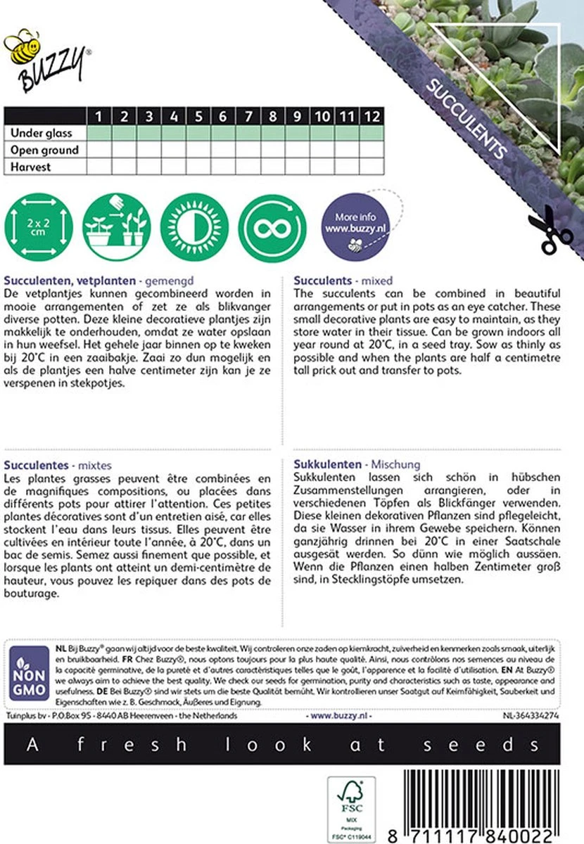 Buzzy House Plants - Kamerplantzaden - Succulenten, Vetplanten - Gemengd - Afbeelding 2