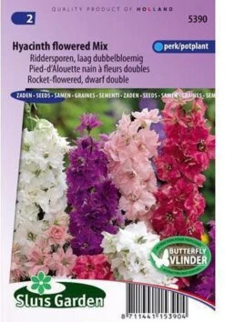 Sluis Garden - Ridderspoor Hyacinth Bloemige Mix (Delphinium)