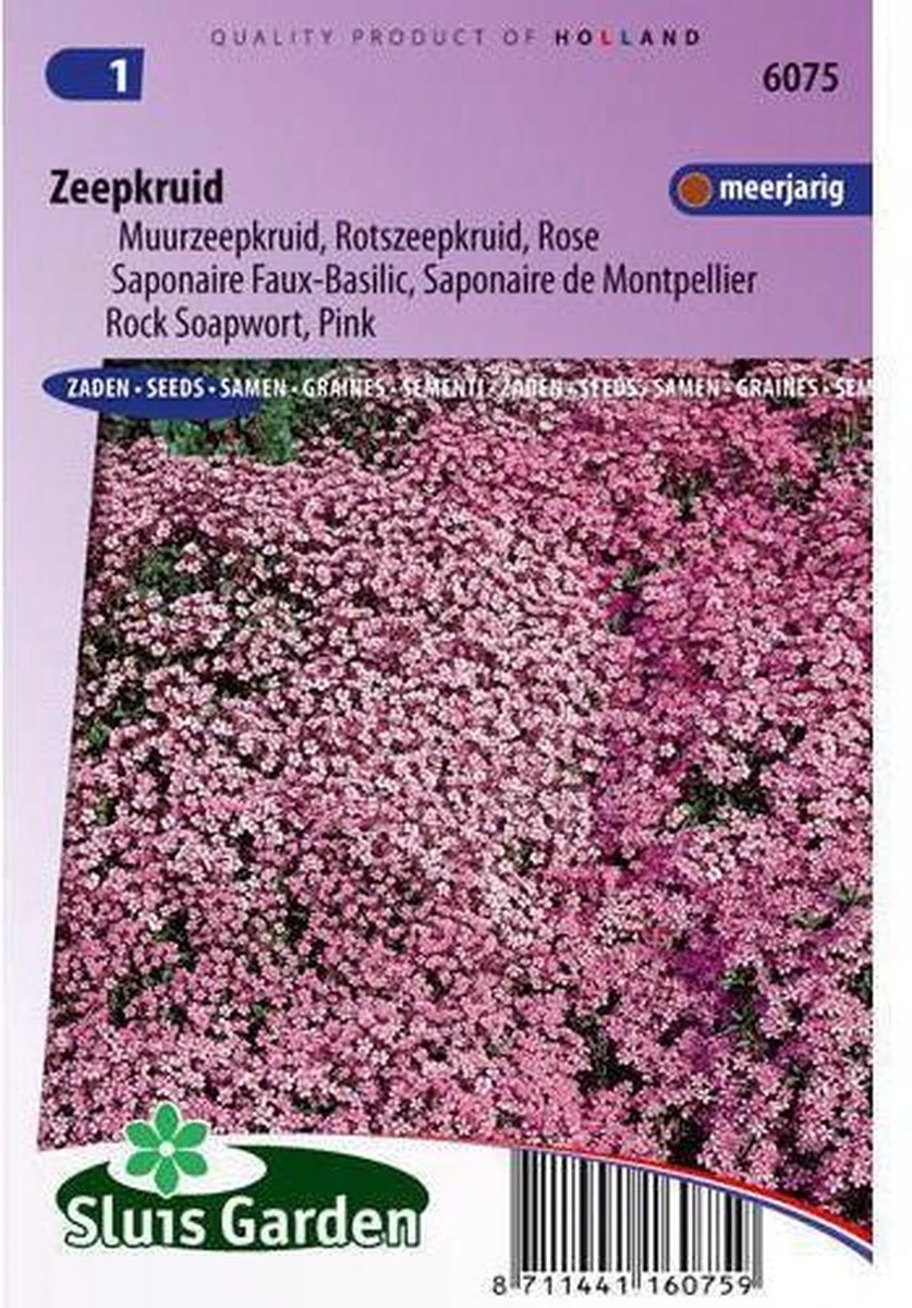 Sluis Garden - Zeepkruid Rose-Pink (Saponaria)