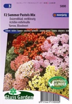 Sluis Garden - Duizendblad Summer Pastels F2 Mix (Achillea)