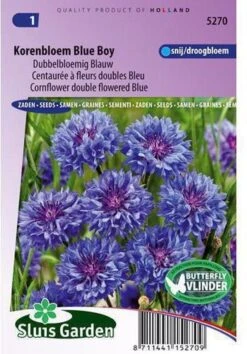 Sluis Garden - Korenbloem Blue Boy, Dubbelbloemig