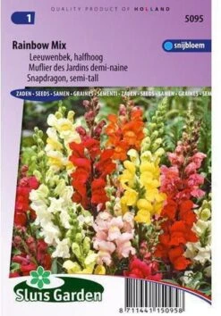 Sluis Garden - Leeuwenbek Rainbow Mix, Halfhoog