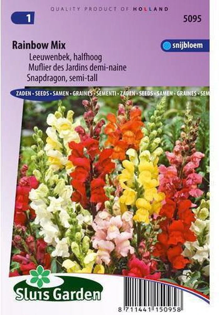 Sluis Garden - Leeuwenbek Rainbow Mix, Halfhoog