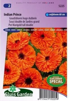 Sluis Garden - Goudsbloem Indian Prince, Dubbelbloemig