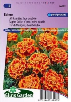 Sluis Garden - Afrikaan Bolero