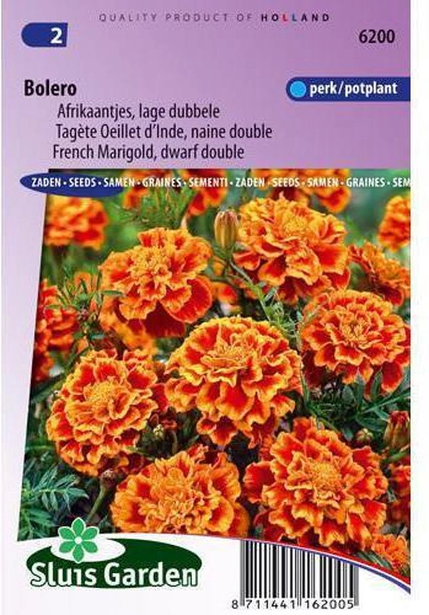 Sluis Garden - Afrikaan Bolero