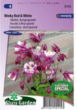 Sluis Garden - Akelei Winky Red & White