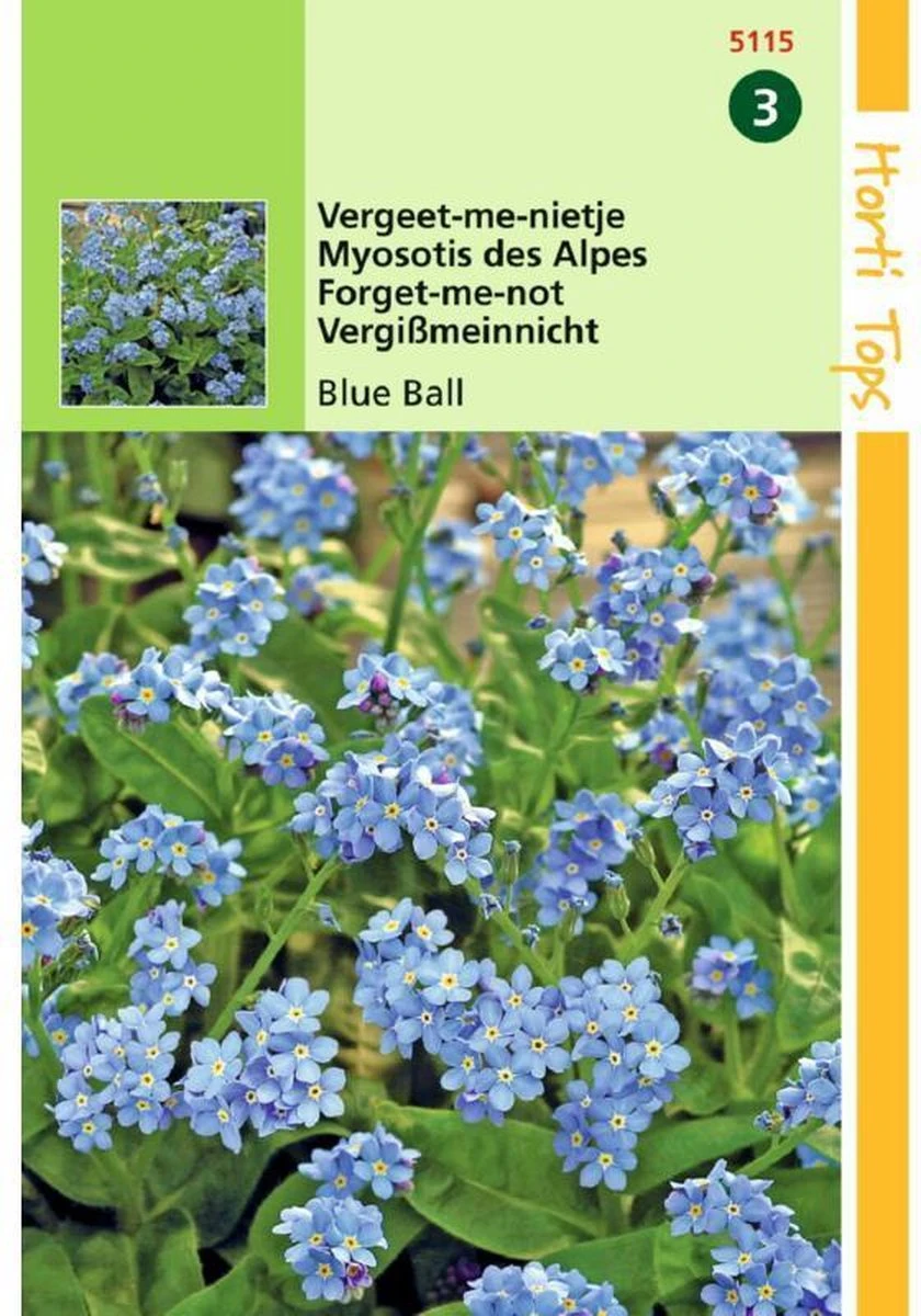 Hortitops - Vergeet-Me-Nietje Bloemzaad - Myosotis Alpestris - Blue Ball - Afbeelding 3