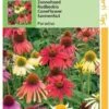 Hortitops Zaden - Echinacea, Zonnehoed Paradiso