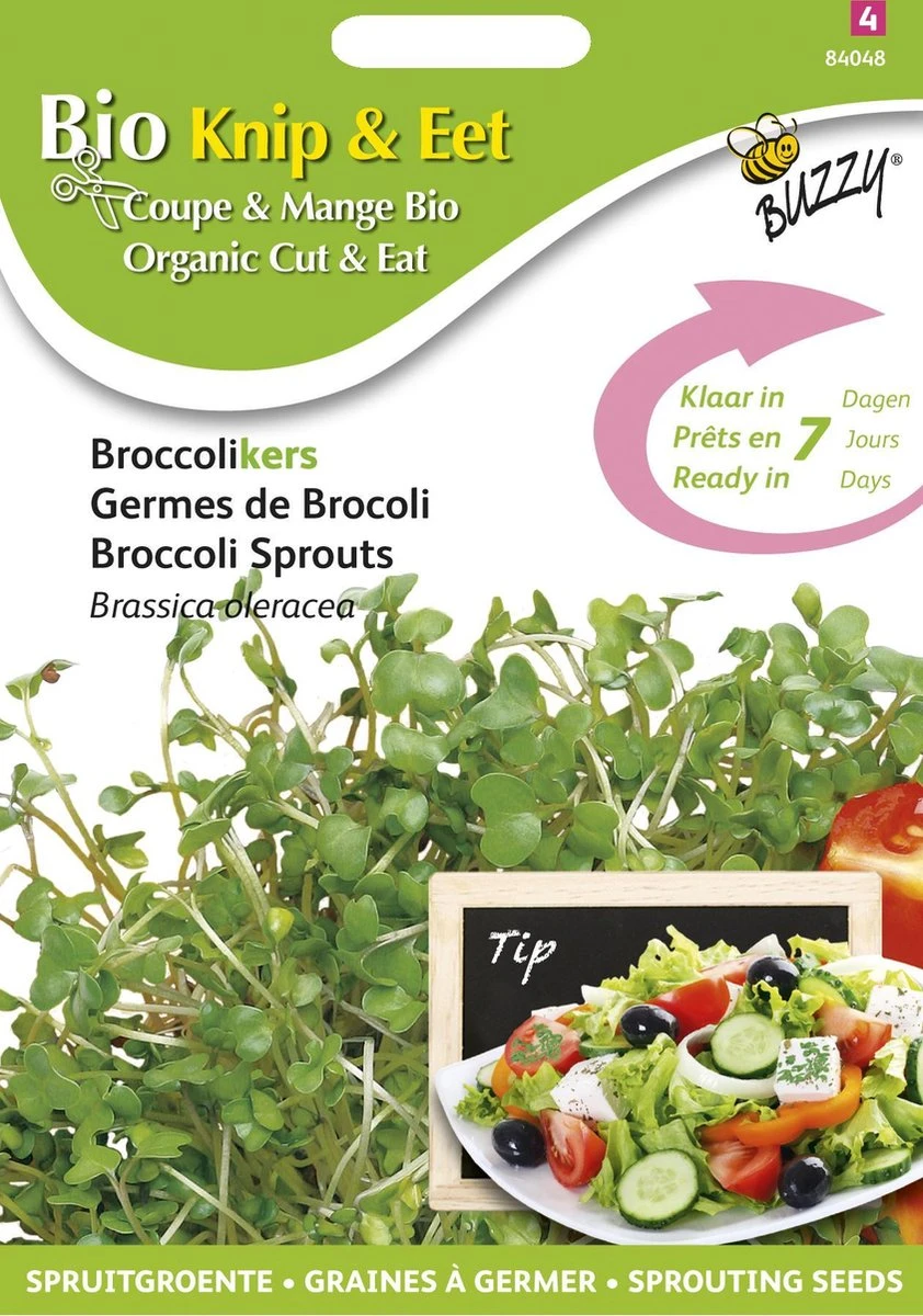 Buzzy® Organic Sprouting Broccolikers (BIO) - Afbeelding 3