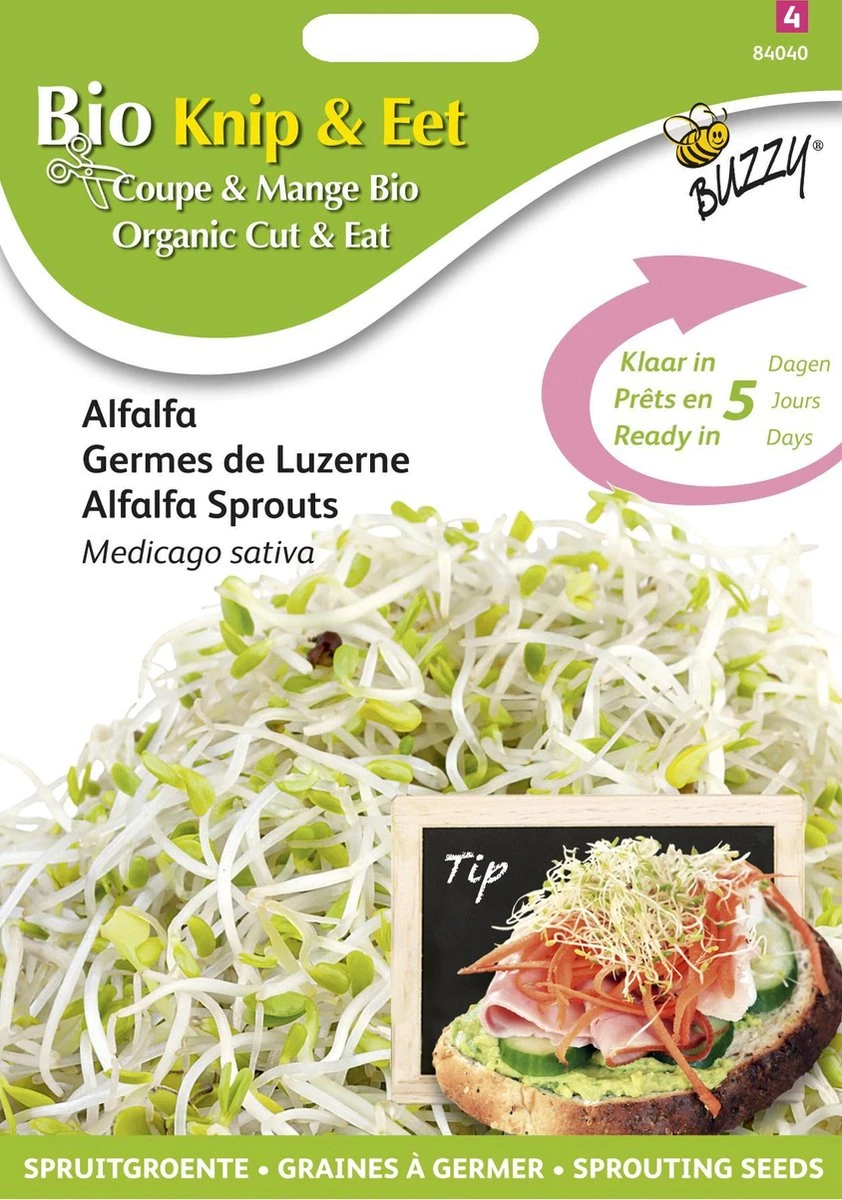Buzzy® Organic Sprouting Alfalfa (BIO) - Afbeelding 3