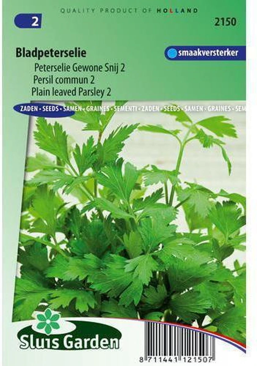 Sluis Garden - Peterselie Gewone Snij 2