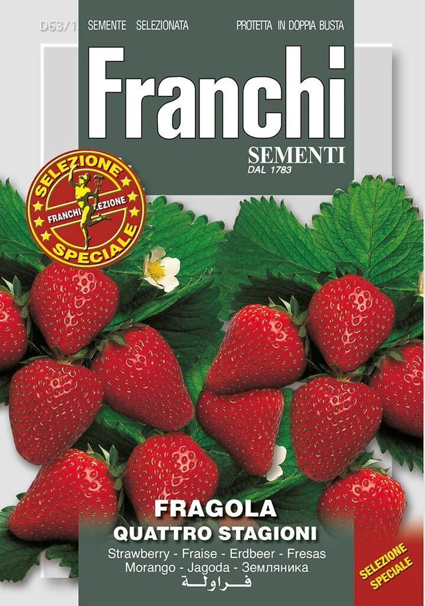 Franchi - Aardbei Franchi - Agola Quatro Stagioni 63/1