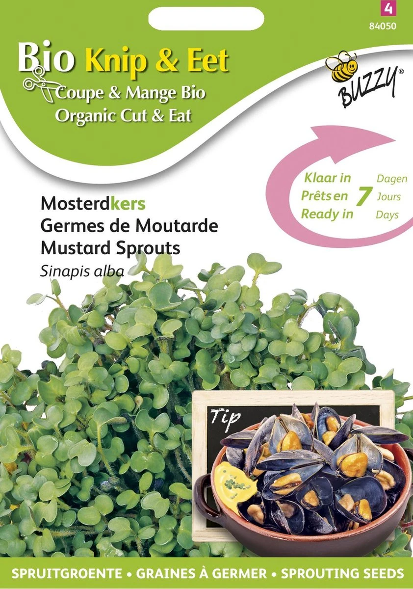 Buzzy® Organic SproutingMosterdkers (BIO) - Afbeelding 3