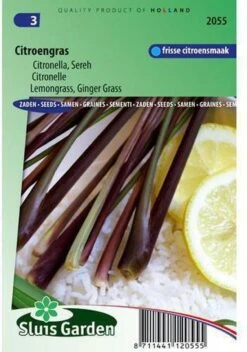 Sluis Garden - Citroengras (Cymbopogon Flexuosus)