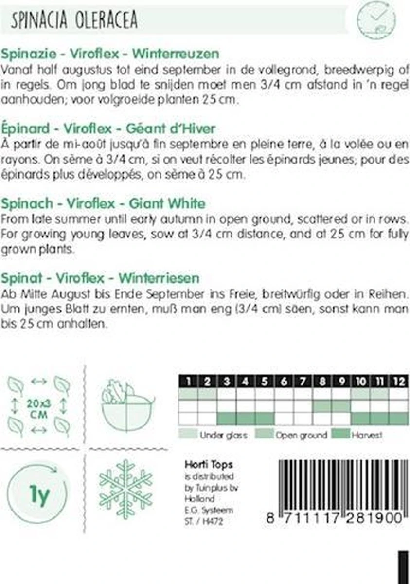 Hortitops Zaden - Spinazie Winterreuzen 15 Gram - Afbeelding 2