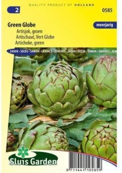 Sluis Garden - Artisjok Vert De Provence
