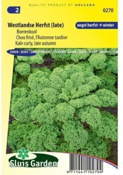 Sluis Garden - Boerenkool Westlandse Herfst (late Varieteit)