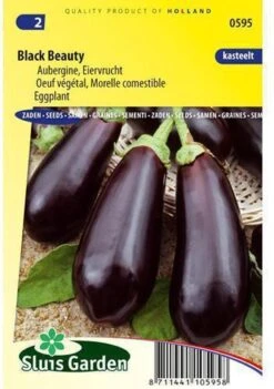 Sluis Garden - Aubergine Black Beauty