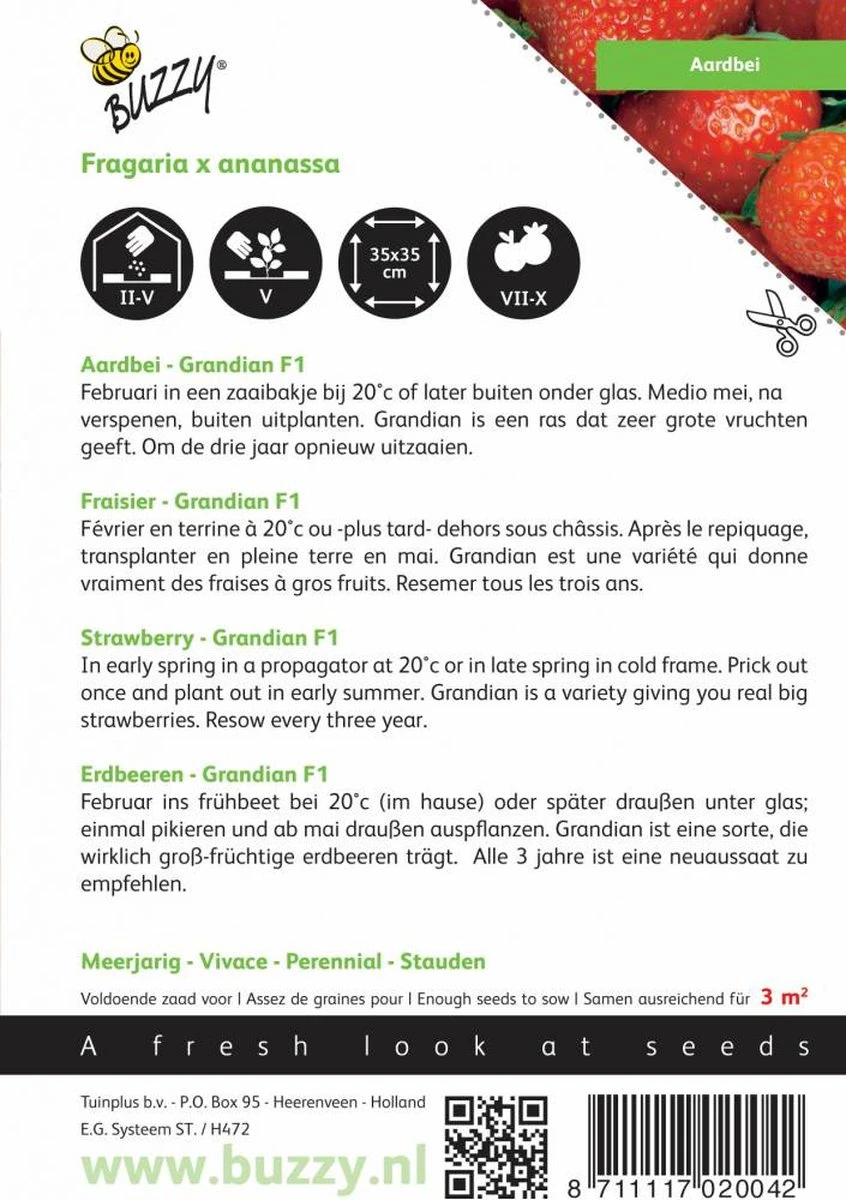 Buzzy® Aardbeien Grandian F1 - Afbeelding 2