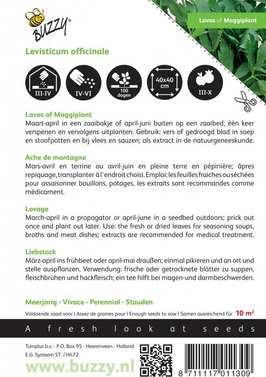 Buzzy® Lavas (Maggiplant) - Afbeelding 4