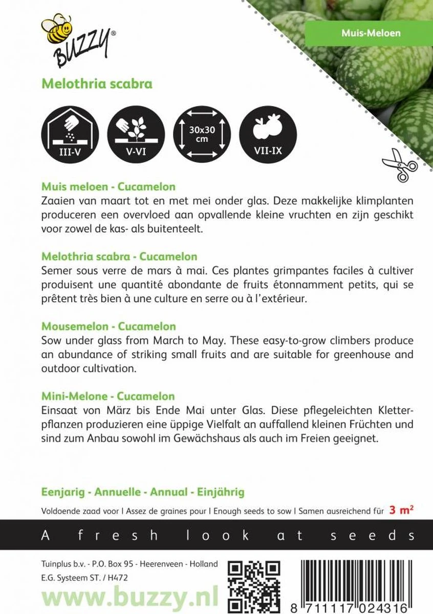 Buzzy Zaden - Cucamelons Muismeloen 15 Zaden - Afbeelding 4
