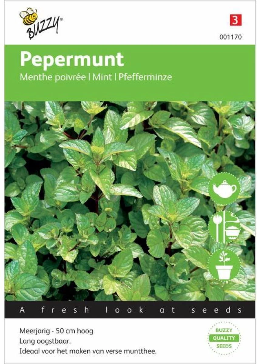 Buzzy Zaden Pepermunt