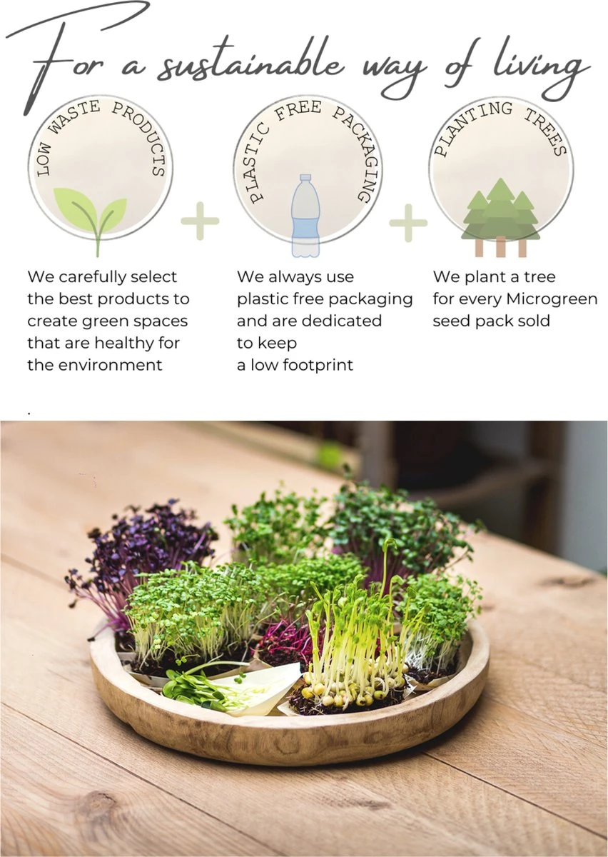Variatie-set Kiemzaden 5x 100g | Broccoli, Erwten Scheuten, Zonnebloem, Radijs & Mosterd - 500g | Biologische Microgreen, Microgroenten Zaden | Plastic Vrij Verpakt | Moestuin Kweekset Binnen - Afbeelding 5