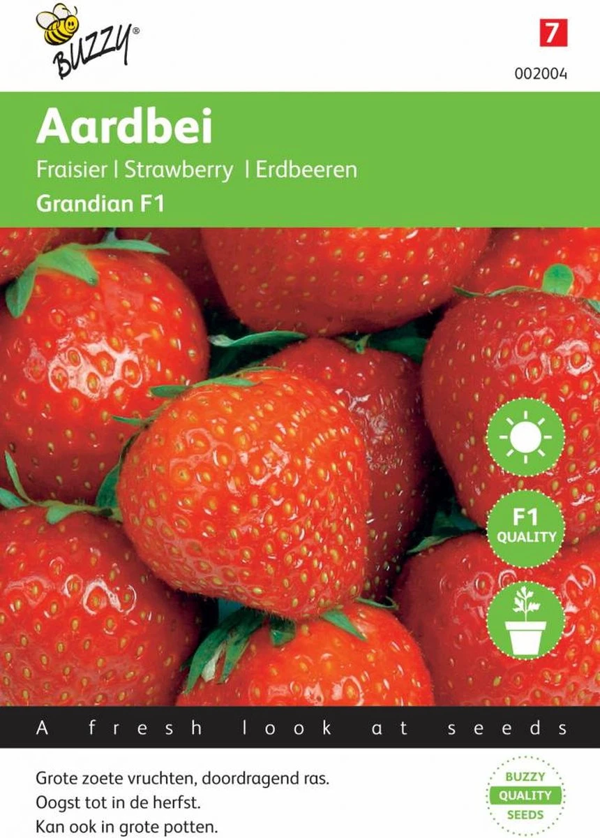 Buzzy® Aardbeien Grandian F1 - Afbeelding 4