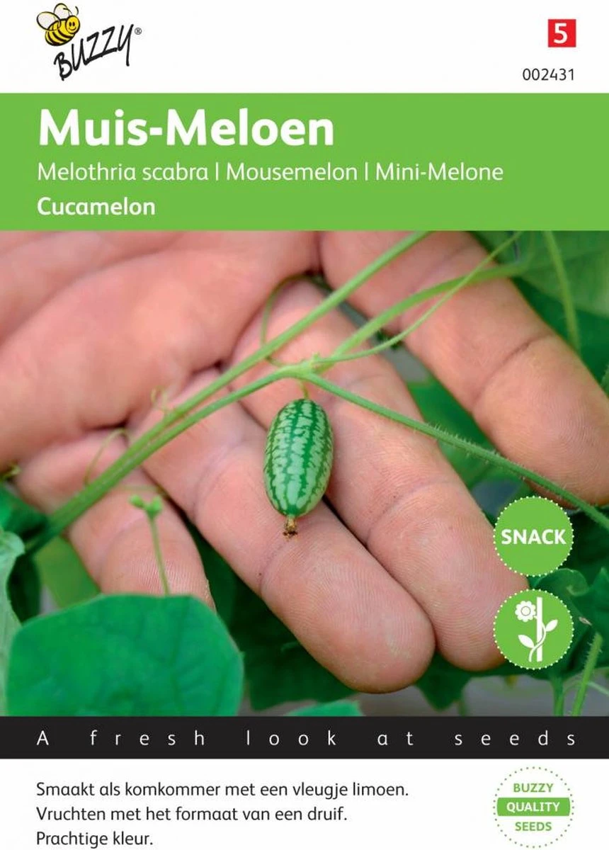 Buzzy Zaden - Cucamelons Muismeloen 15 Zaden - Afbeelding 3