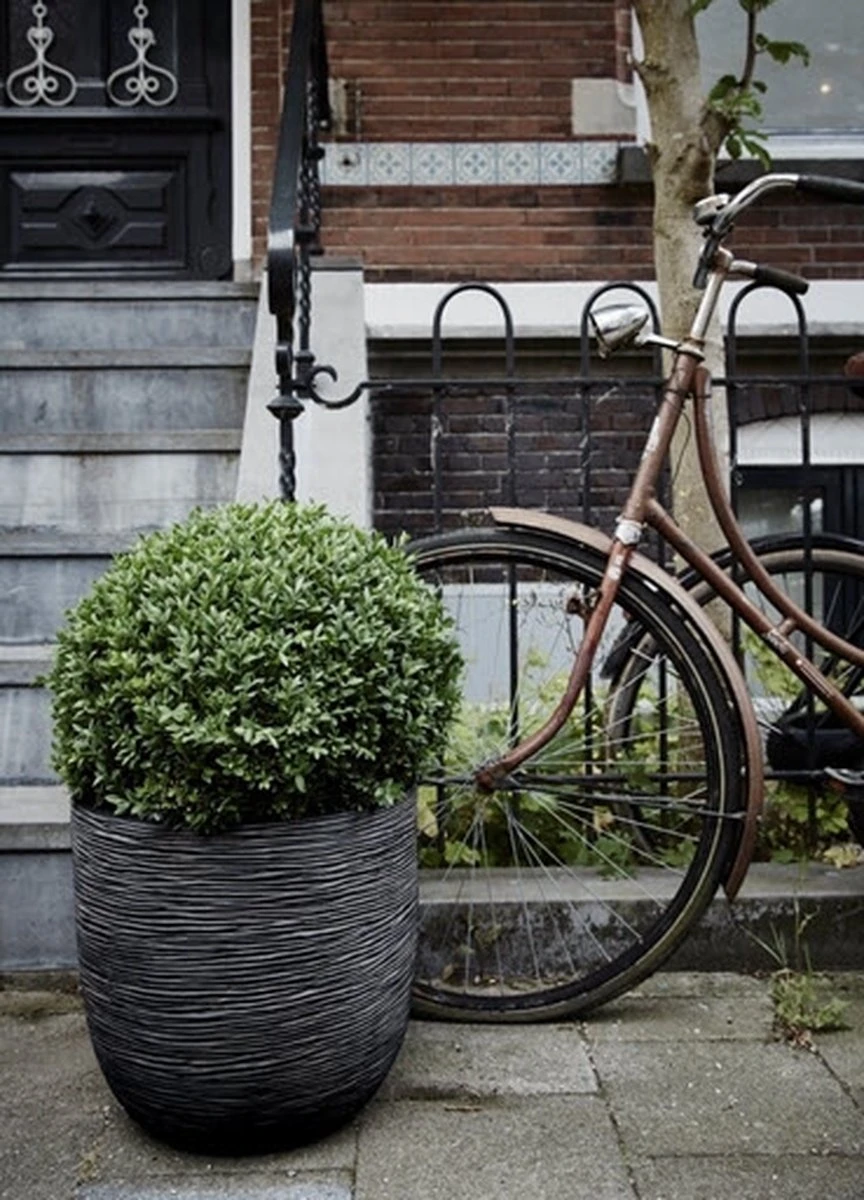 Capi Europe - Bloempot Bol Rib NL - 35x34 - Zwart - Voor Binnen En Buiten - KBLR932 - Afbeelding 12