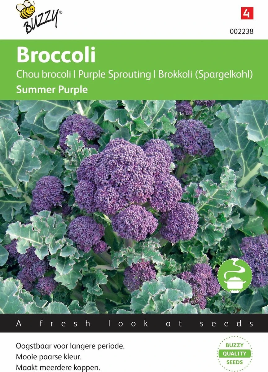 Buzzy® Broccoli Summer Purple